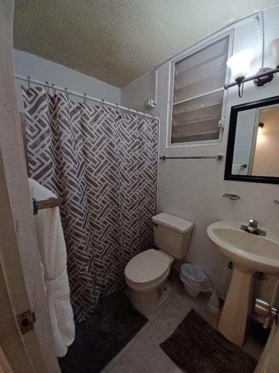 Family House Rain Forest And Beaches Pet Friendly Rio Grande Luaran gambar