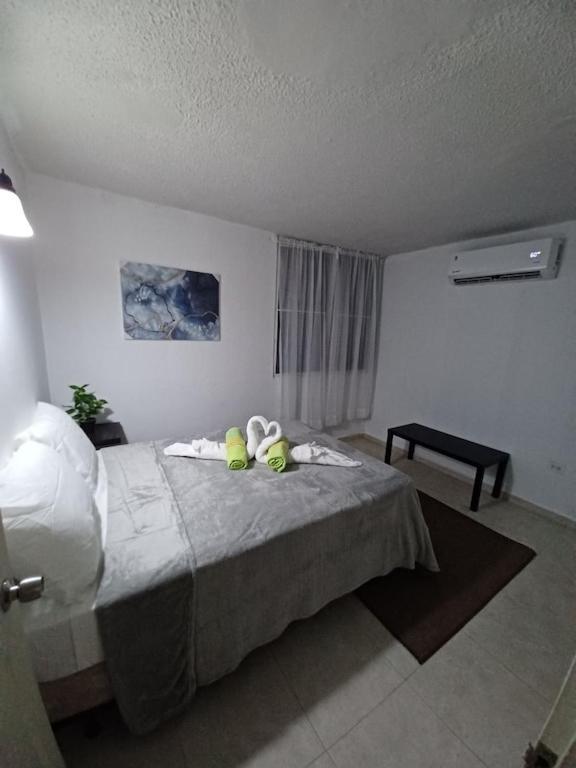 Family House Rain Forest And Beaches Pet Friendly Rio Grande Luaran gambar