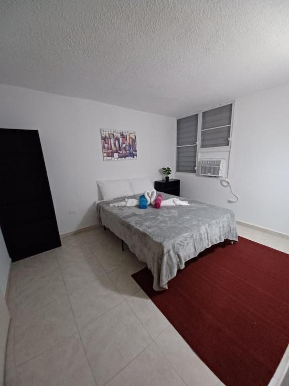 Family House Rain Forest And Beaches Pet Friendly Rio Grande Luaran gambar
