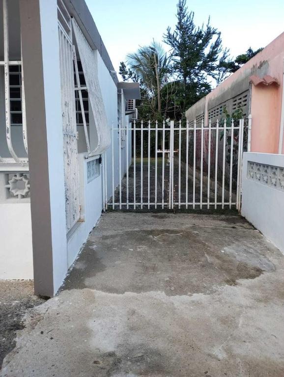 Family House Rain Forest And Beaches Pet Friendly Rio Grande Luaran gambar